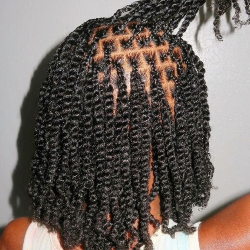 Mini Twist Natural Hair at Billion Hairs Salon in Kansas City, KS