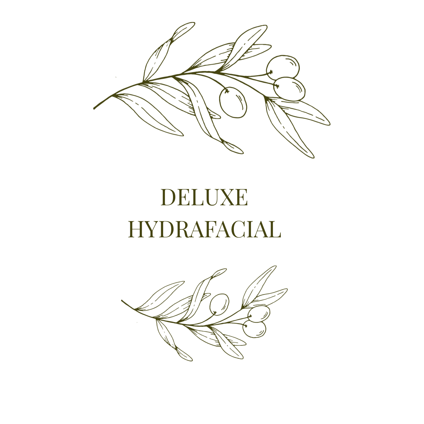 Deluxe Hydrafacial at Olive Branch Skin Co in Cincinnati, OH