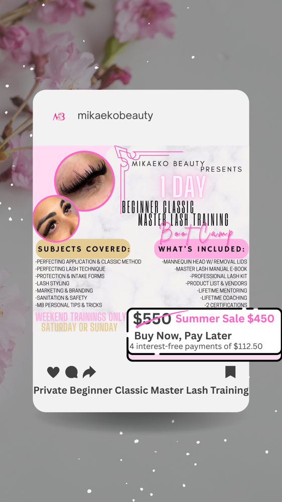 1 Day Beginner Master Lash Training