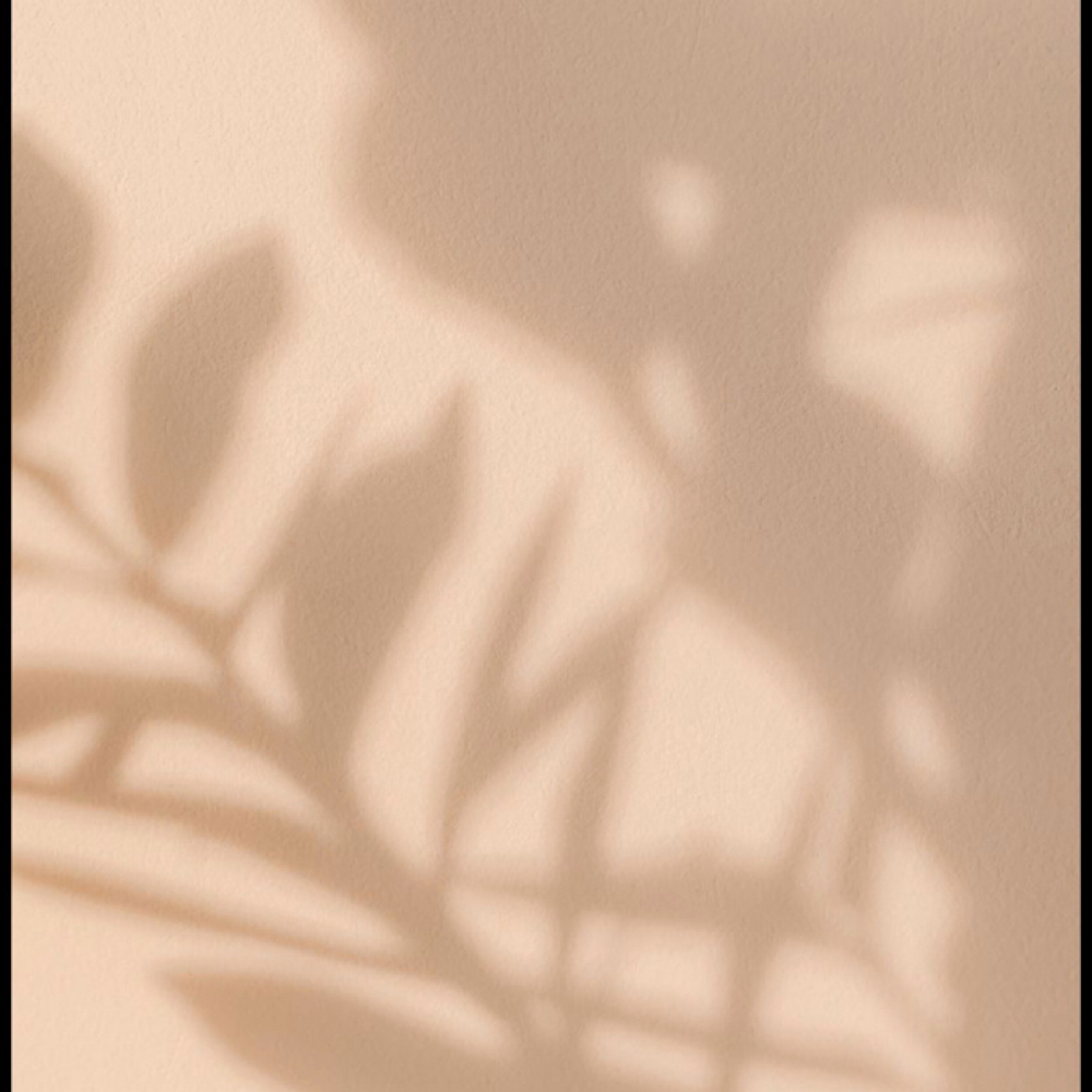 Partial Foil With Haircut at Beth Forte Hair Studio in Wayne, PA