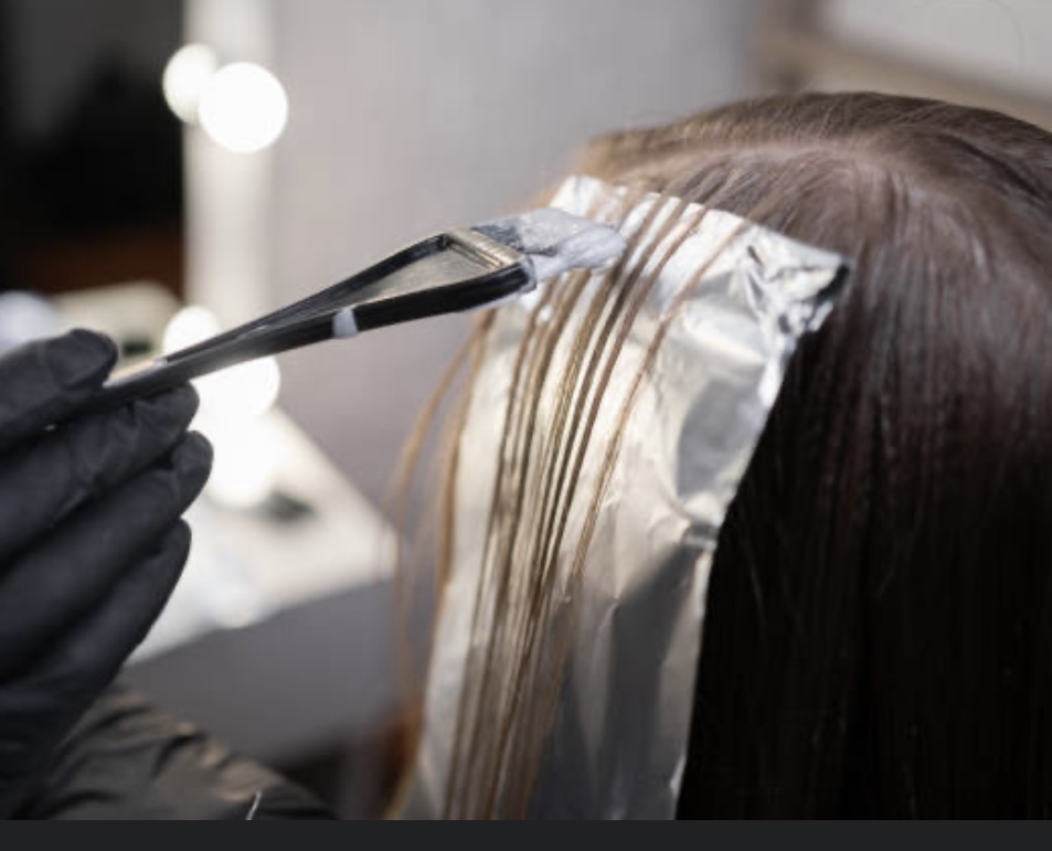 Highlights