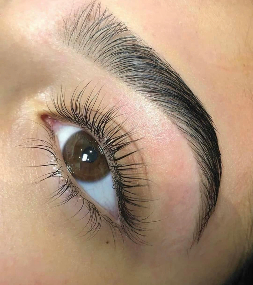 Eyebrow Waxing And Tinting