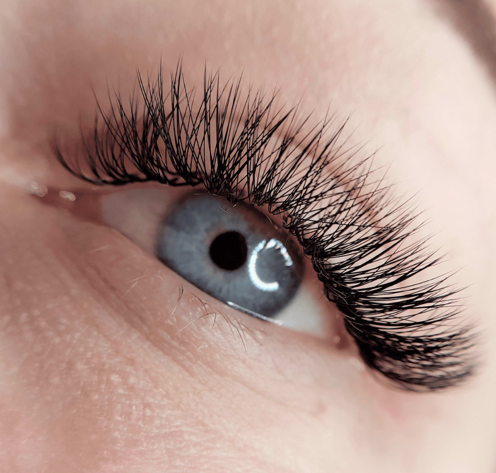 Hybrid Lashes (Most popular)