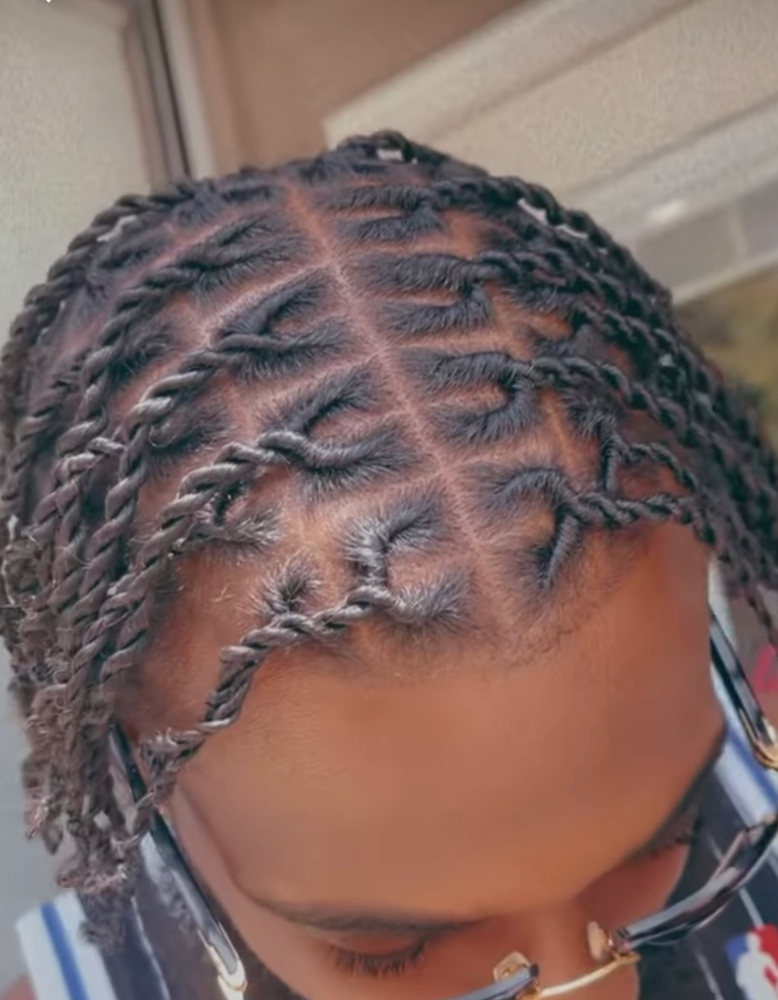 Two Strand Twist