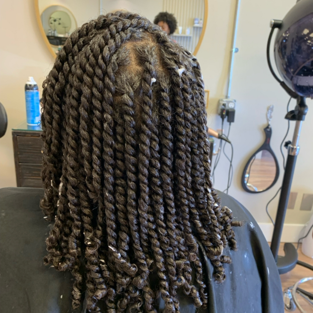 Two Strand Twist at Milan Luxe Studio in Augusta, GA