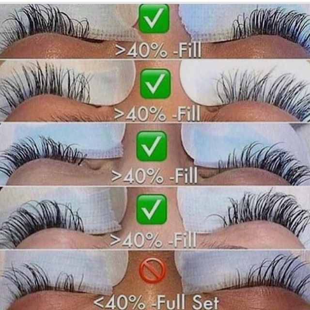 3 Week Mega Volume