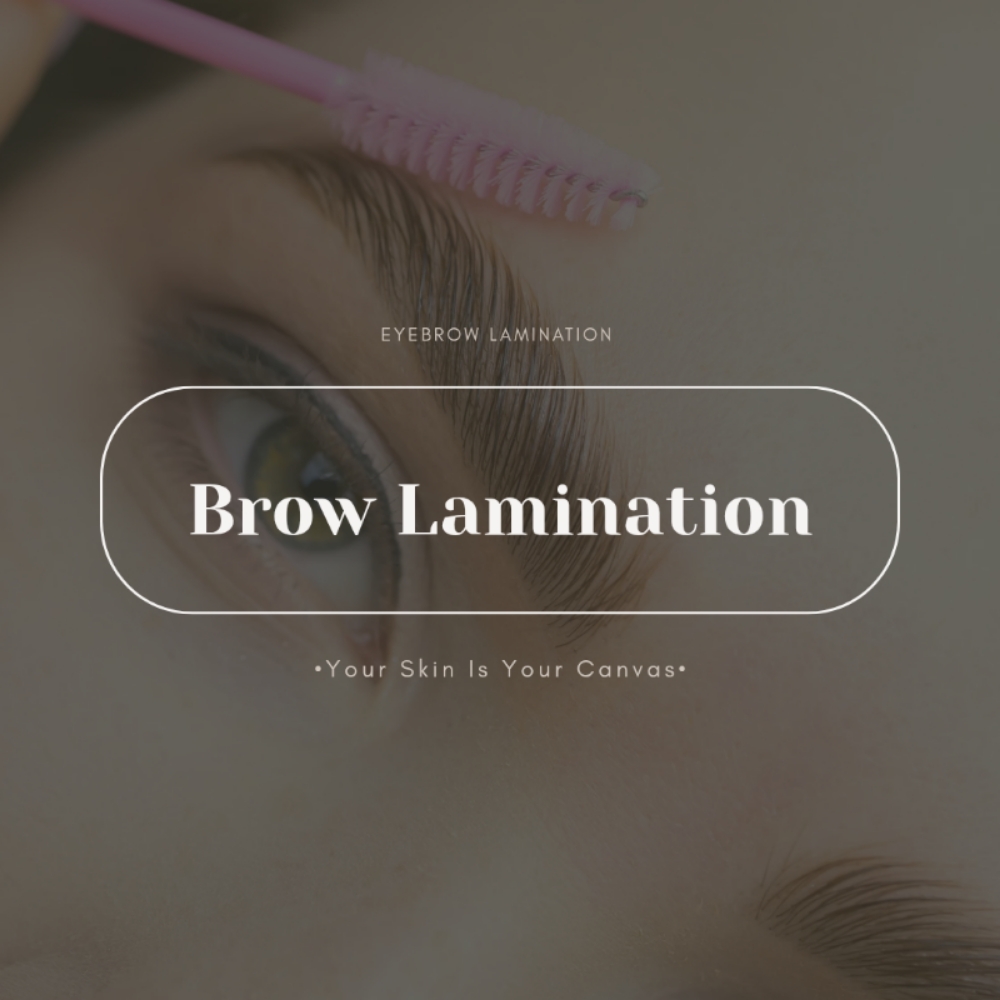 Brow Lamination/Tint/Wax at Face Palette Aesthetics in Franklin, WI