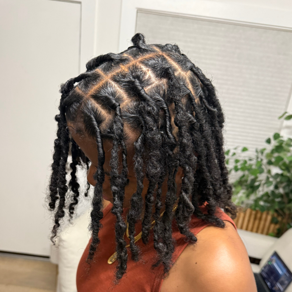 Retwist at kailibraidshair