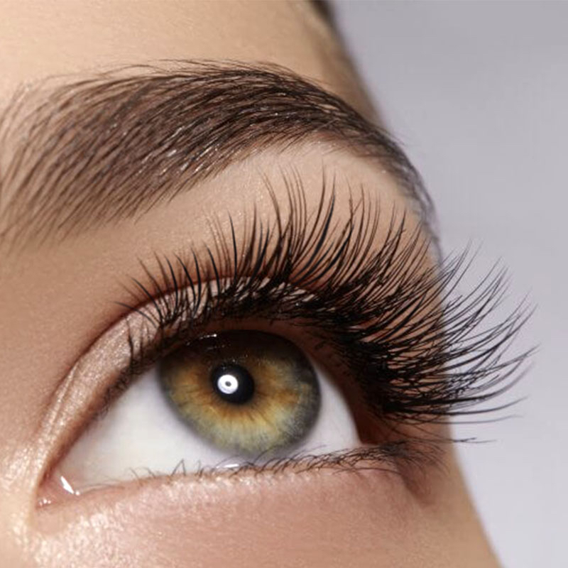 Lash/Brow Lift & Tint
