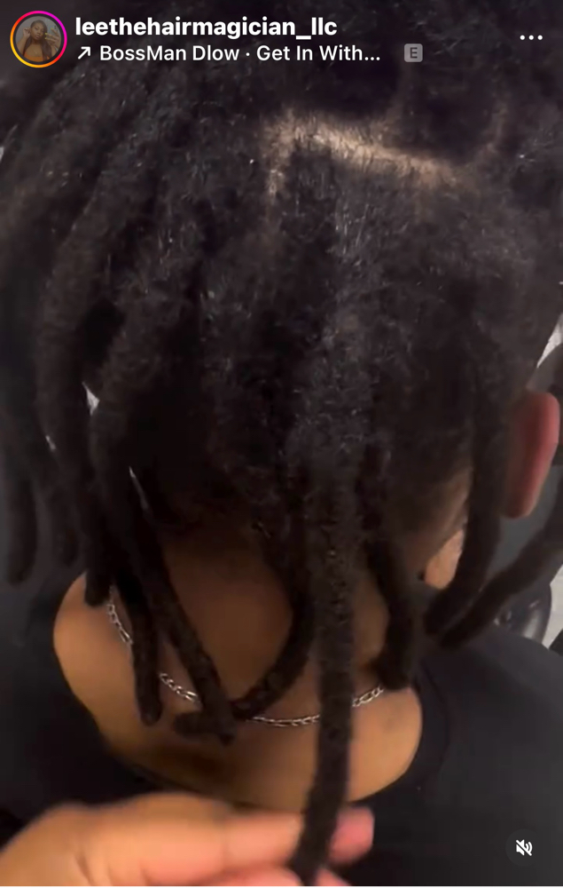 Under 80 Loc Extension Install at Lee The Hair Magician LLC in Detroit, MI