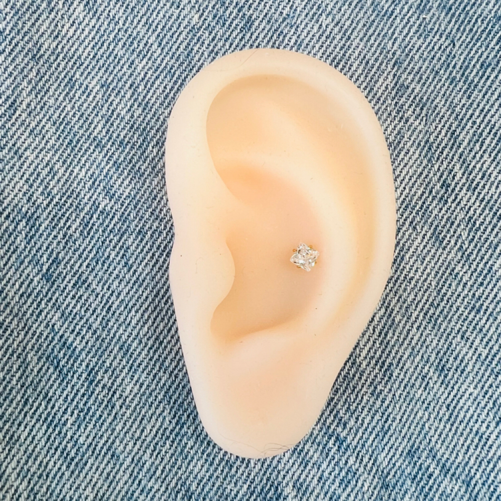 Conch at The Brow & Skin Co. by Shannon in Cranberry Twp., PA