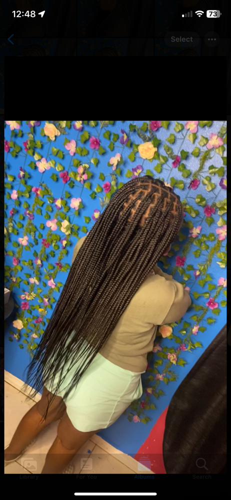 Small Knotless Plaits
