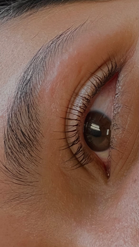 Lash Lift