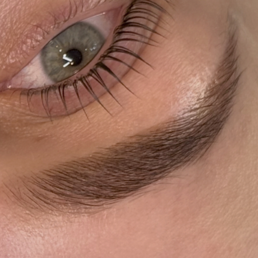 Hybrid Tint Only at Hard Feelings Brow Studio in Indianapolis, IN