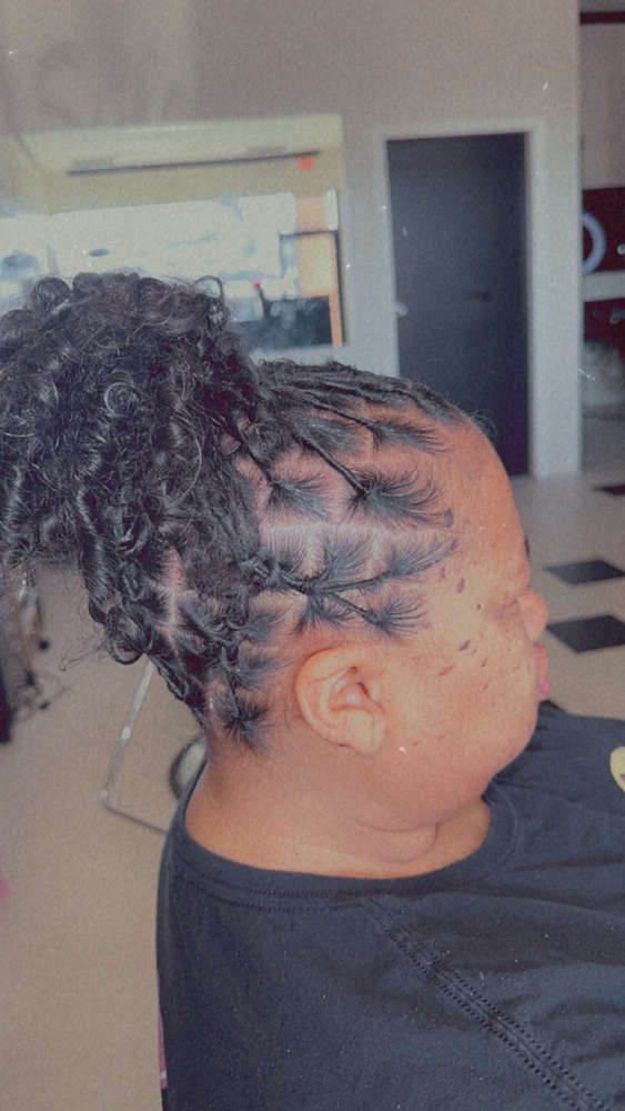 Starter Locs