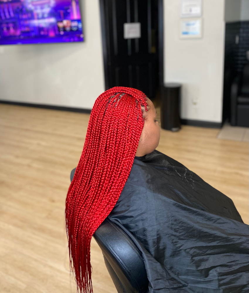 Small Box Braids / Color