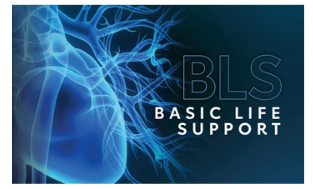 BLS/CPR RENEWAL