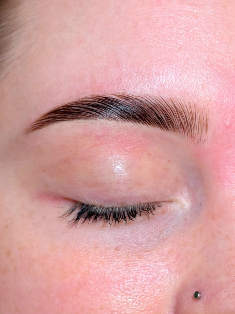 Brow Lamination +Tint +Wax at Réve Studio in Charlotte, NC