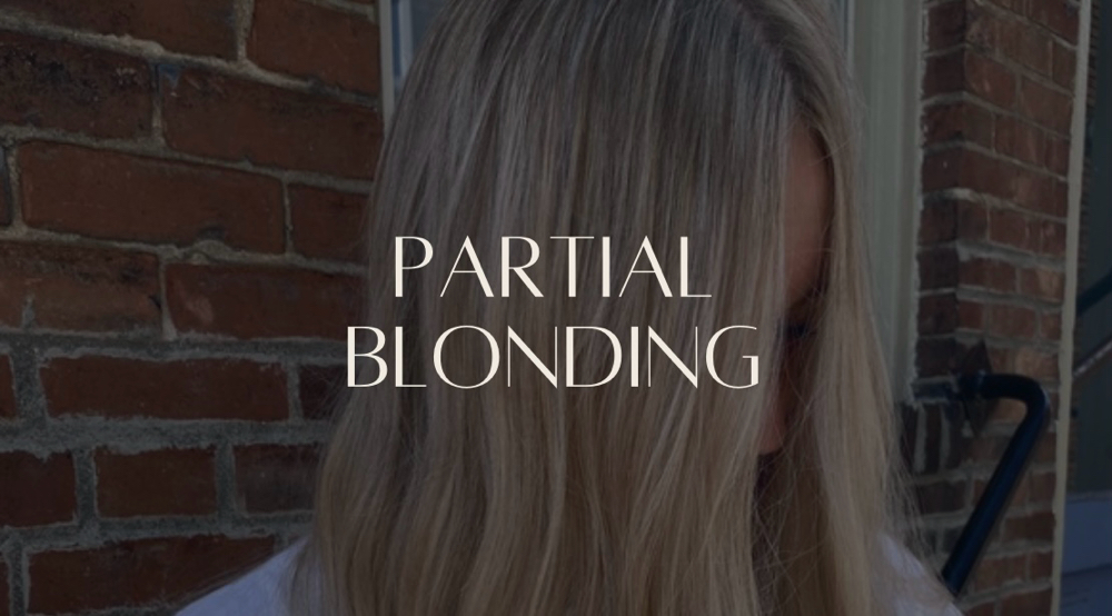 Partial Blonding(Partial Highlight)