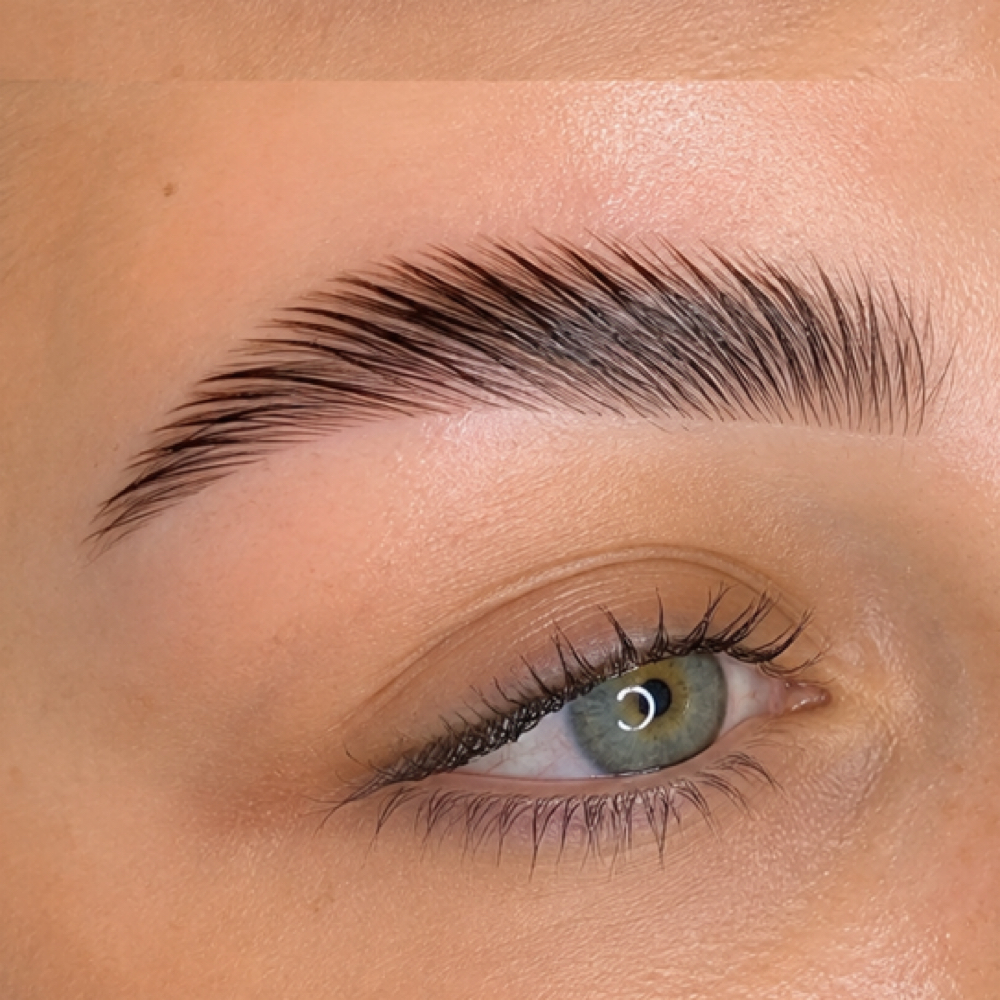 Brow Lamination ONLY at Pretty In pink Beauty SPA LLC in Summerville, SC