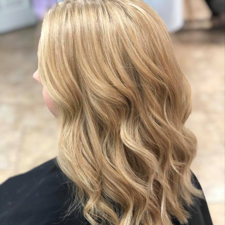 All Over Color (1 color) at High Maintenance Salon Spa LLC in Corinth, MS