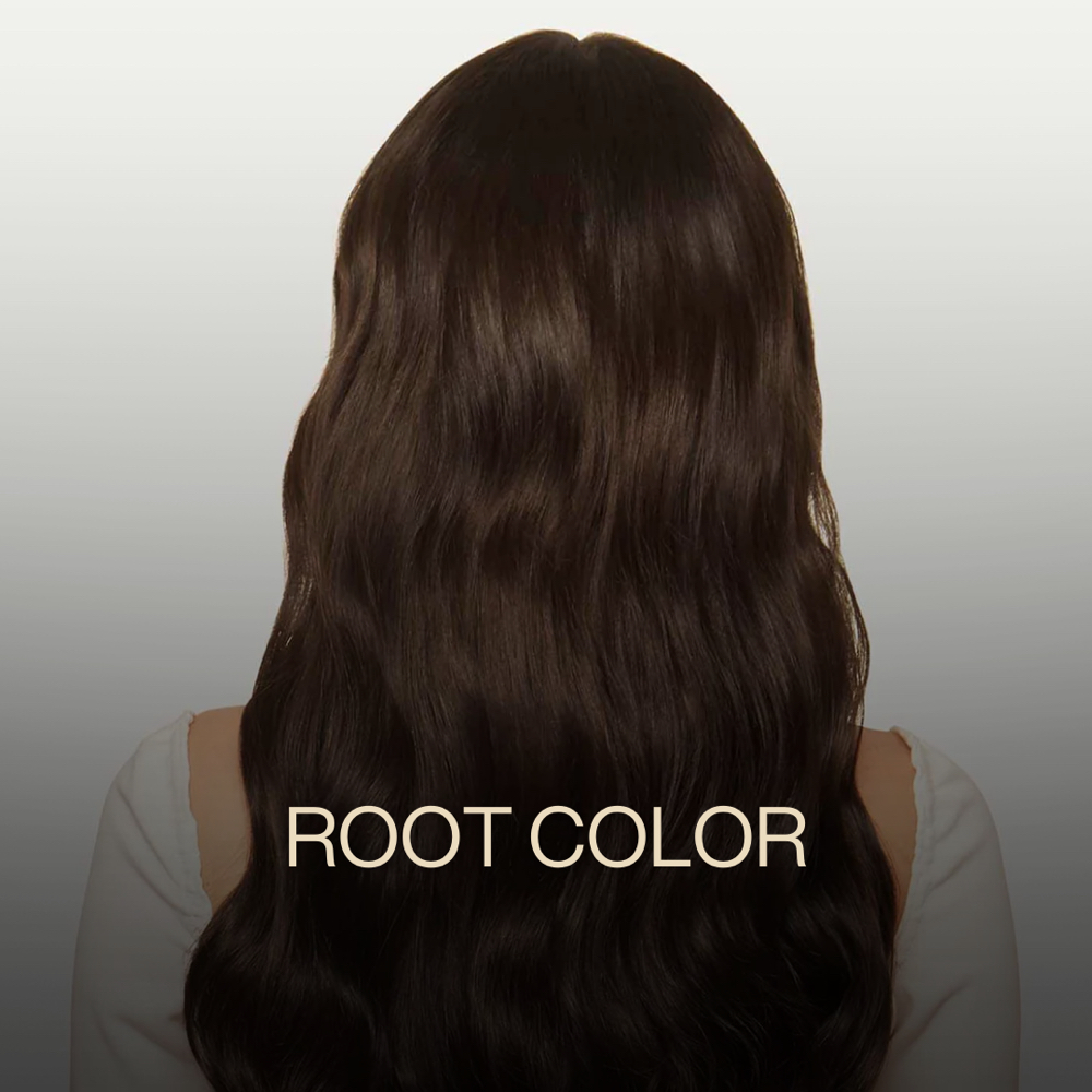 Root Color at Zemra Salon in Westborough, MA