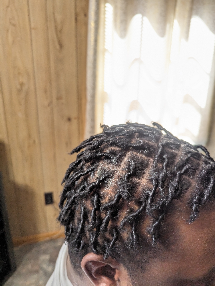 Starter Locs (Medium)