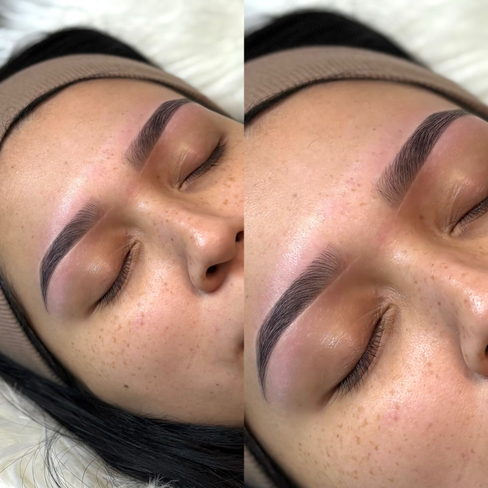 Brow Wax and Tint (First Time) at Theazbrowlaminator in Glendale, AZ