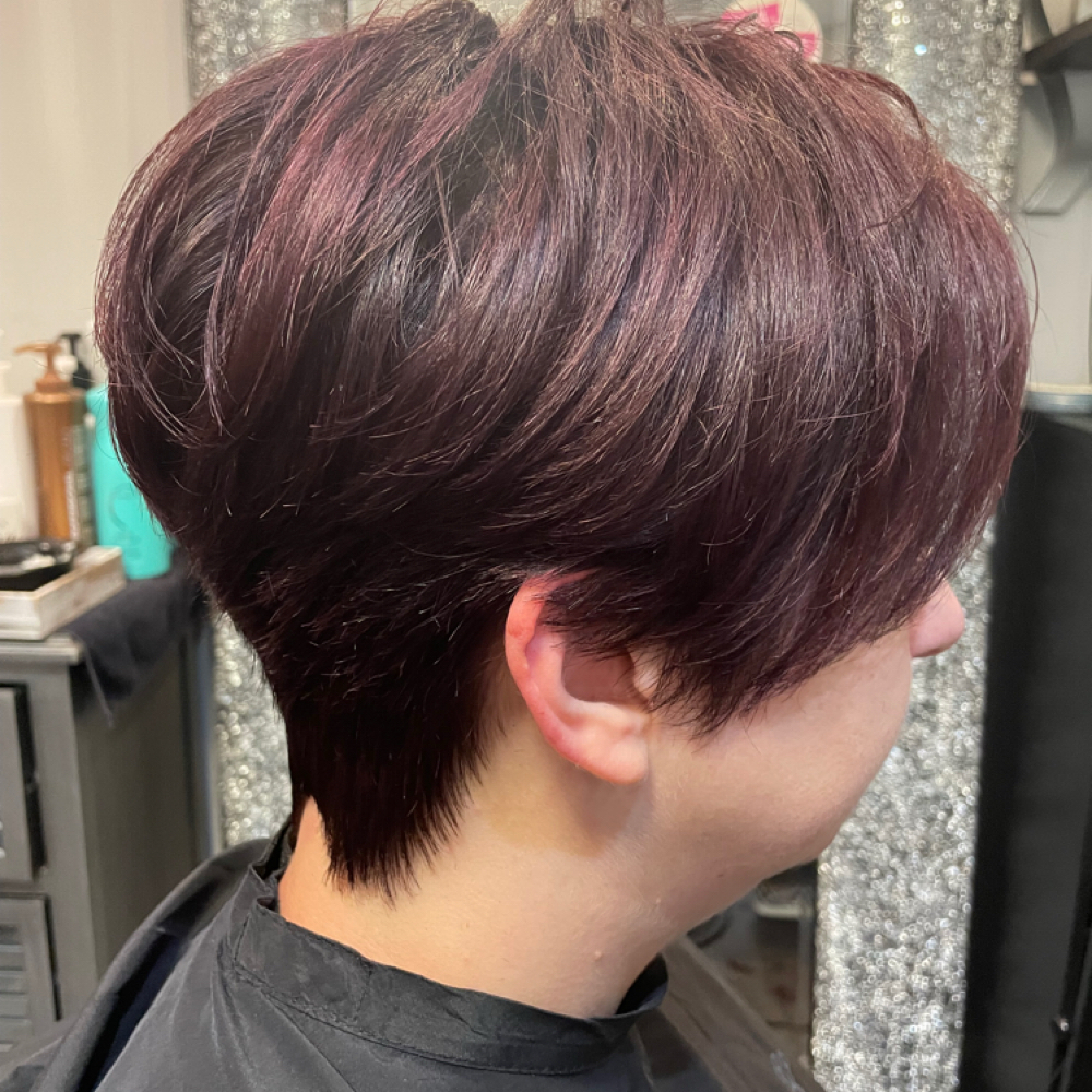Color all over short hair at Seamless Hair Design in Lexington, KY