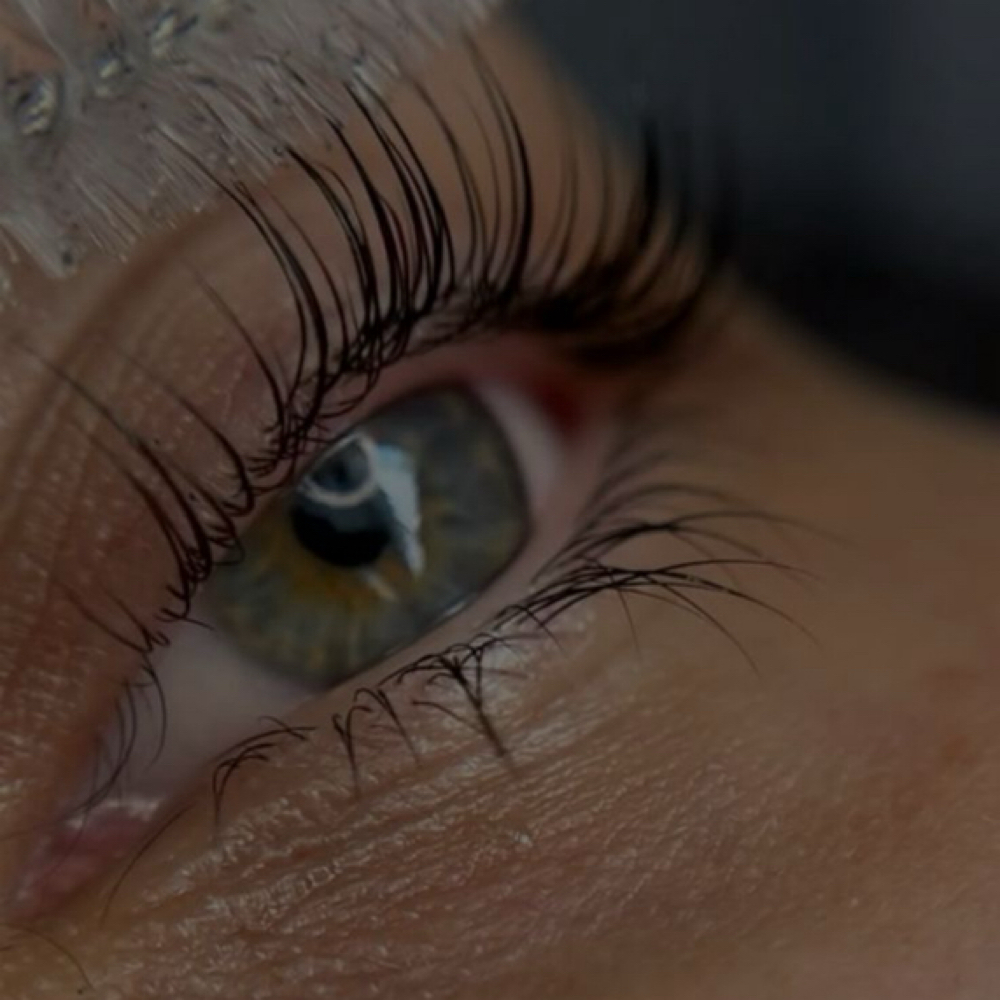 Signature Lash Lift & Tint at Elegance Salon in Aberdeen, SD