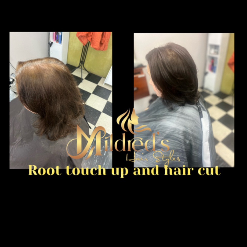 Root Cover Gray Color Service at Mildred’s Hair Studio in Concord, CA