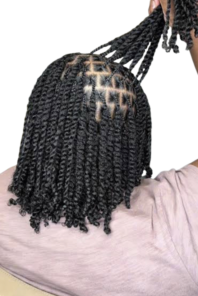 Two Strand Twist