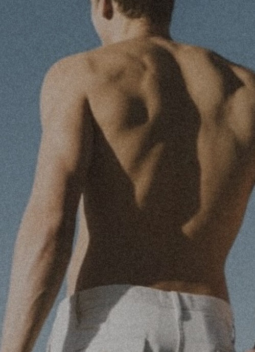 Full Back & Shoulders