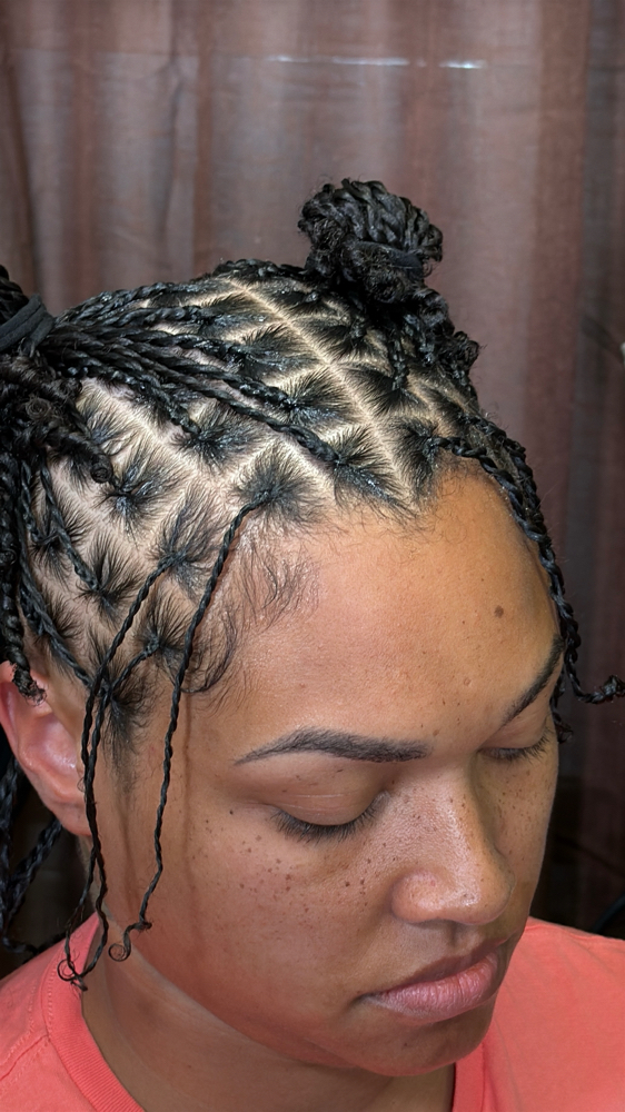 Braided Roots  Two Strand Twist