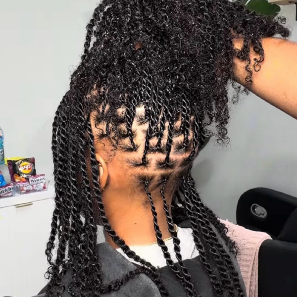 Mini Twists Extensions at Daesia Mo’Nique Studios in Irving, TX