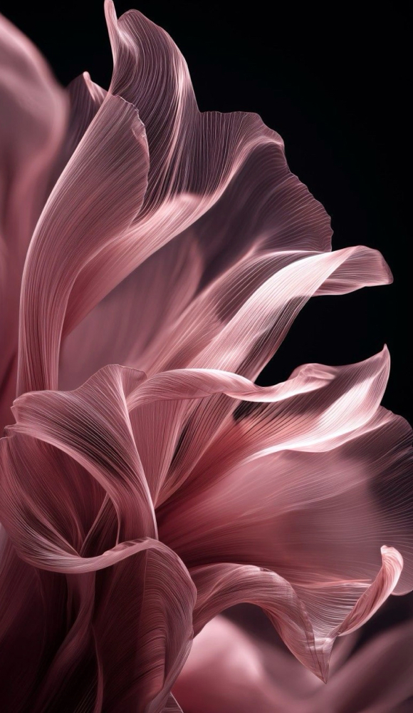 Brow Lamination + Wax