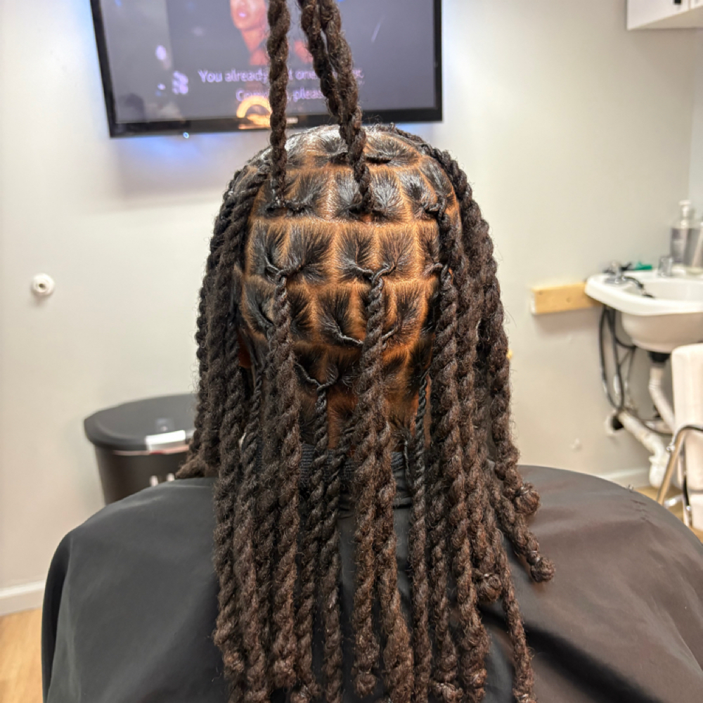 Loc Retwist & Two Strand Twist at The Curl Dealer in Southfield, MI