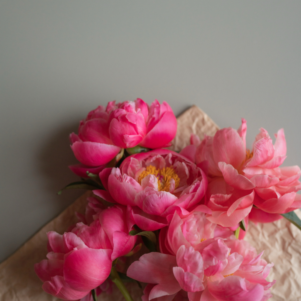 Carboxy Therapy Enhancement at June Rose Skin Studio in Conshohocken, PA