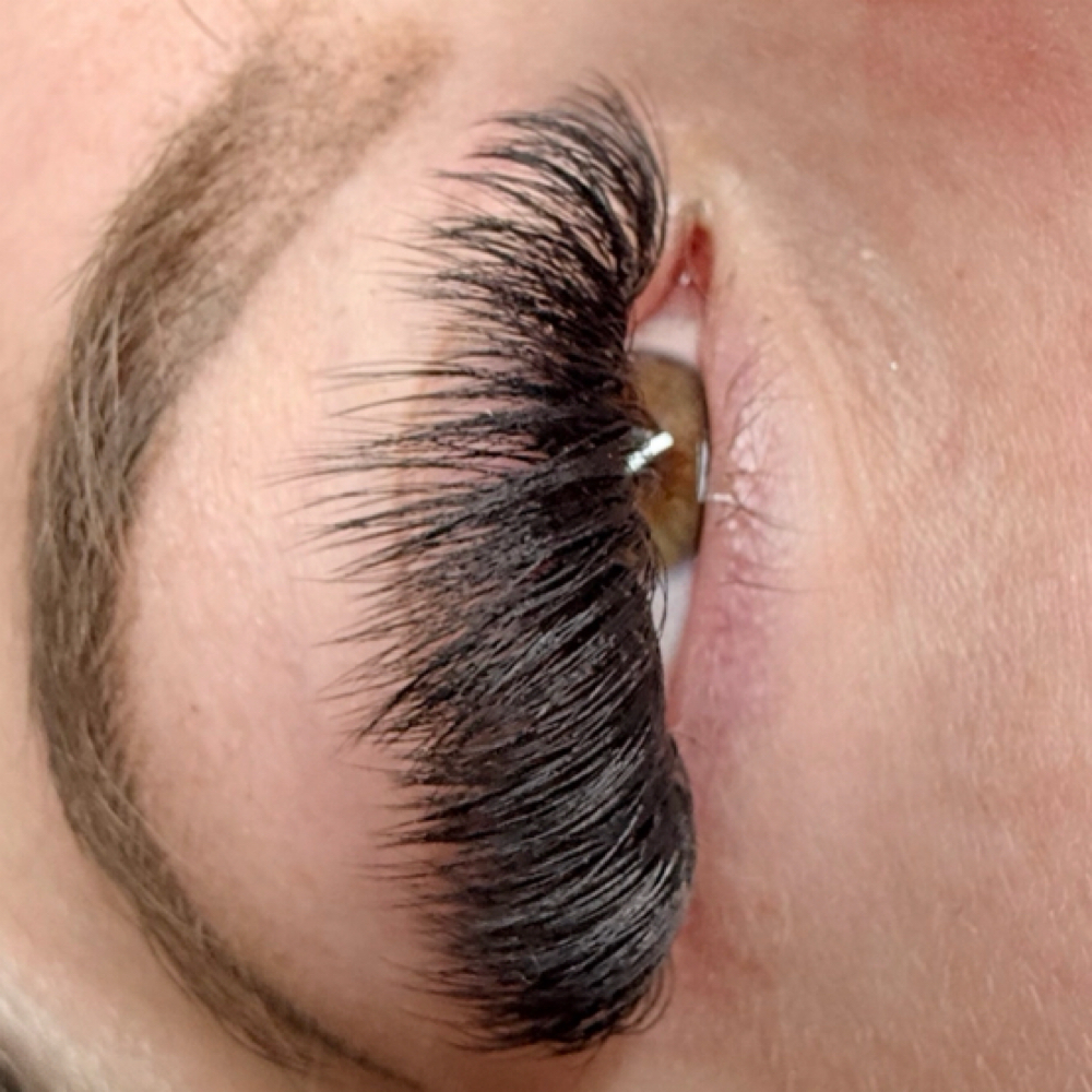 Mega Volume at Artistry Lash And Brow Bar in Oklahoma City, OK