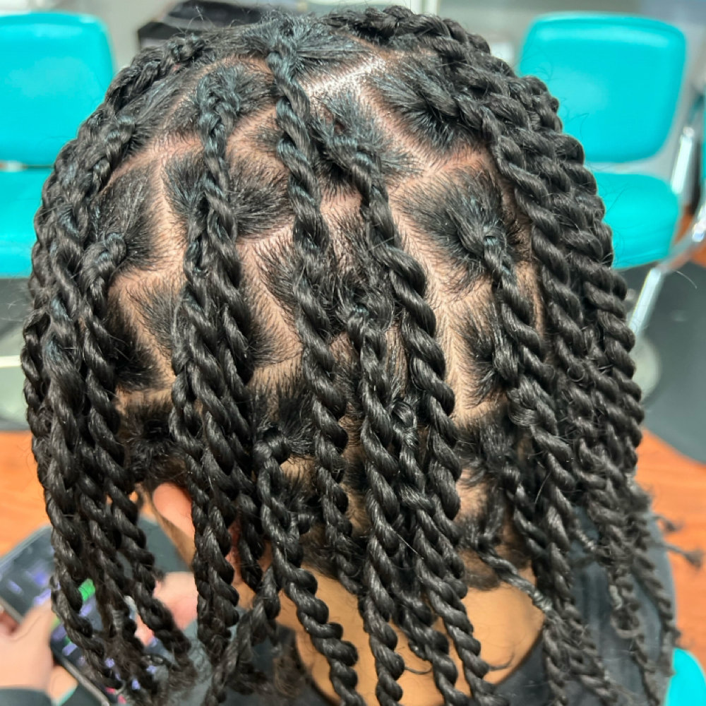 2-Strand Twist W/Natural Hair at Braid Nation, LLC in Smyrna, DE