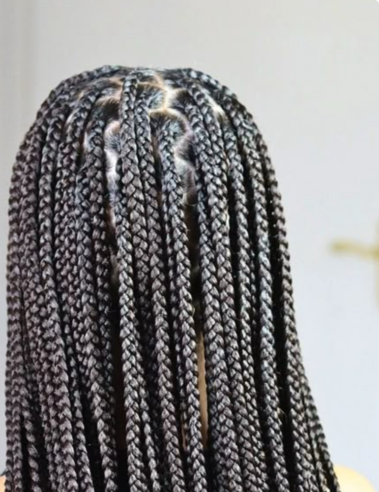 Womens Box Braids (M/L)