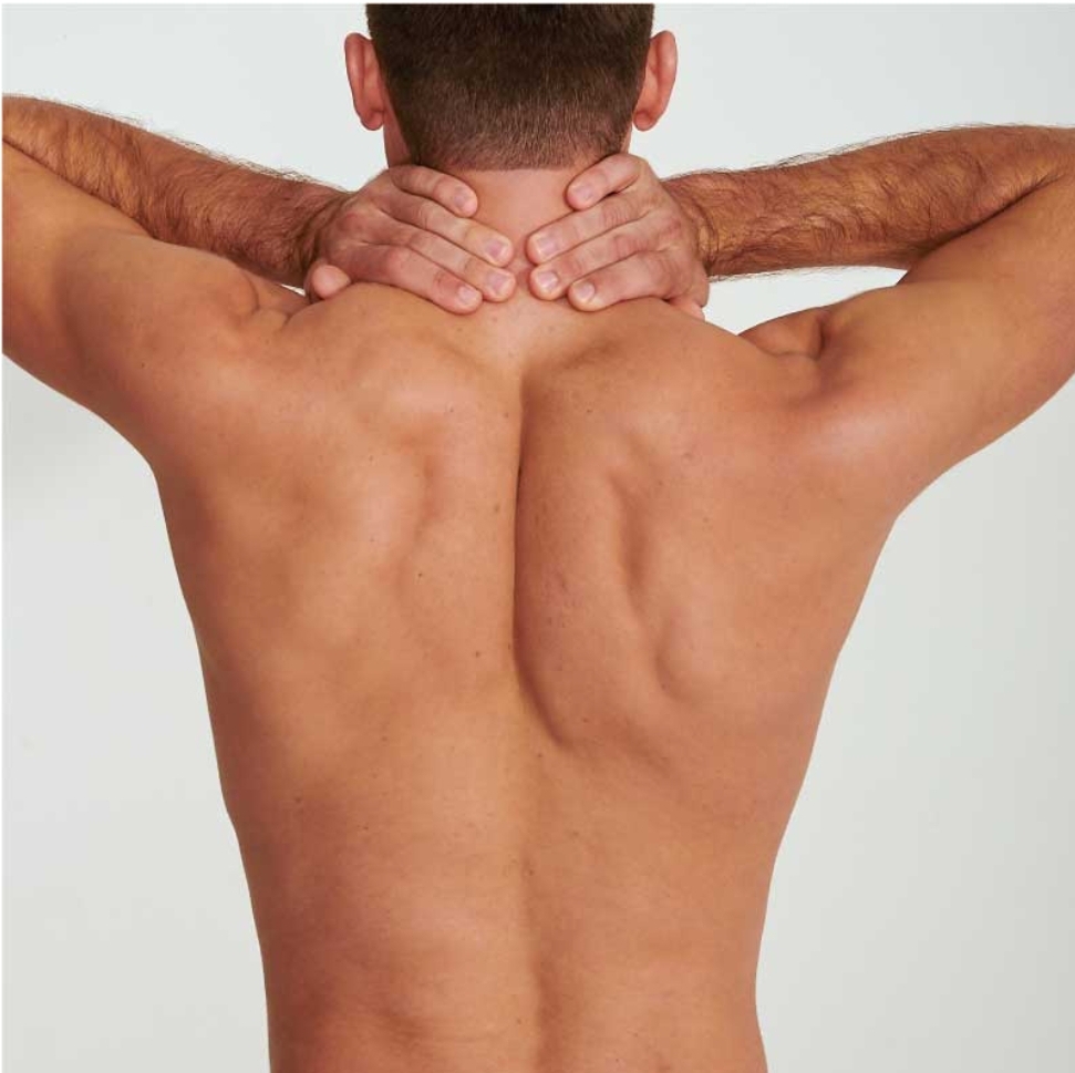 Full Back at ~☆~BARE WAX BAR ~☆~ in Dallas, TX
