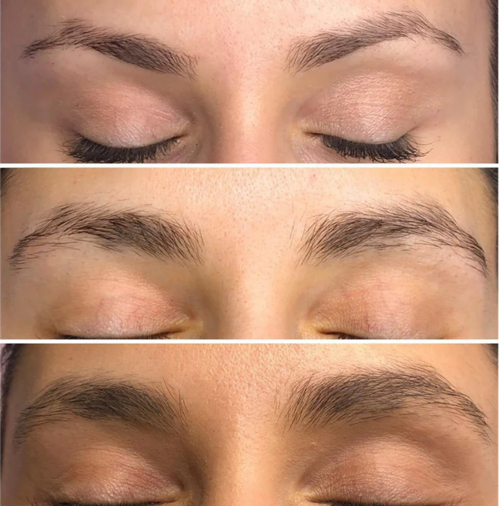 Bring Your Brows Back to Life