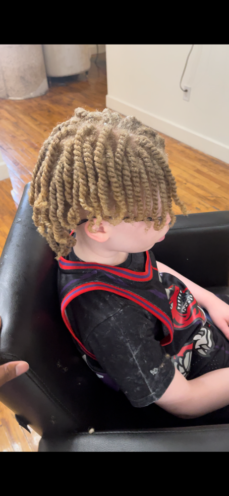 2 Strand Twist+ wash & Dry Inc