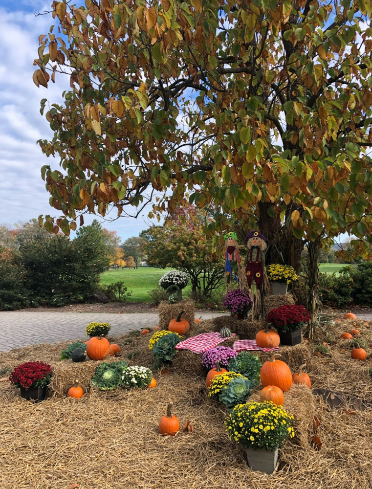 Pumpkin Pie Swedish Massage 90 Min