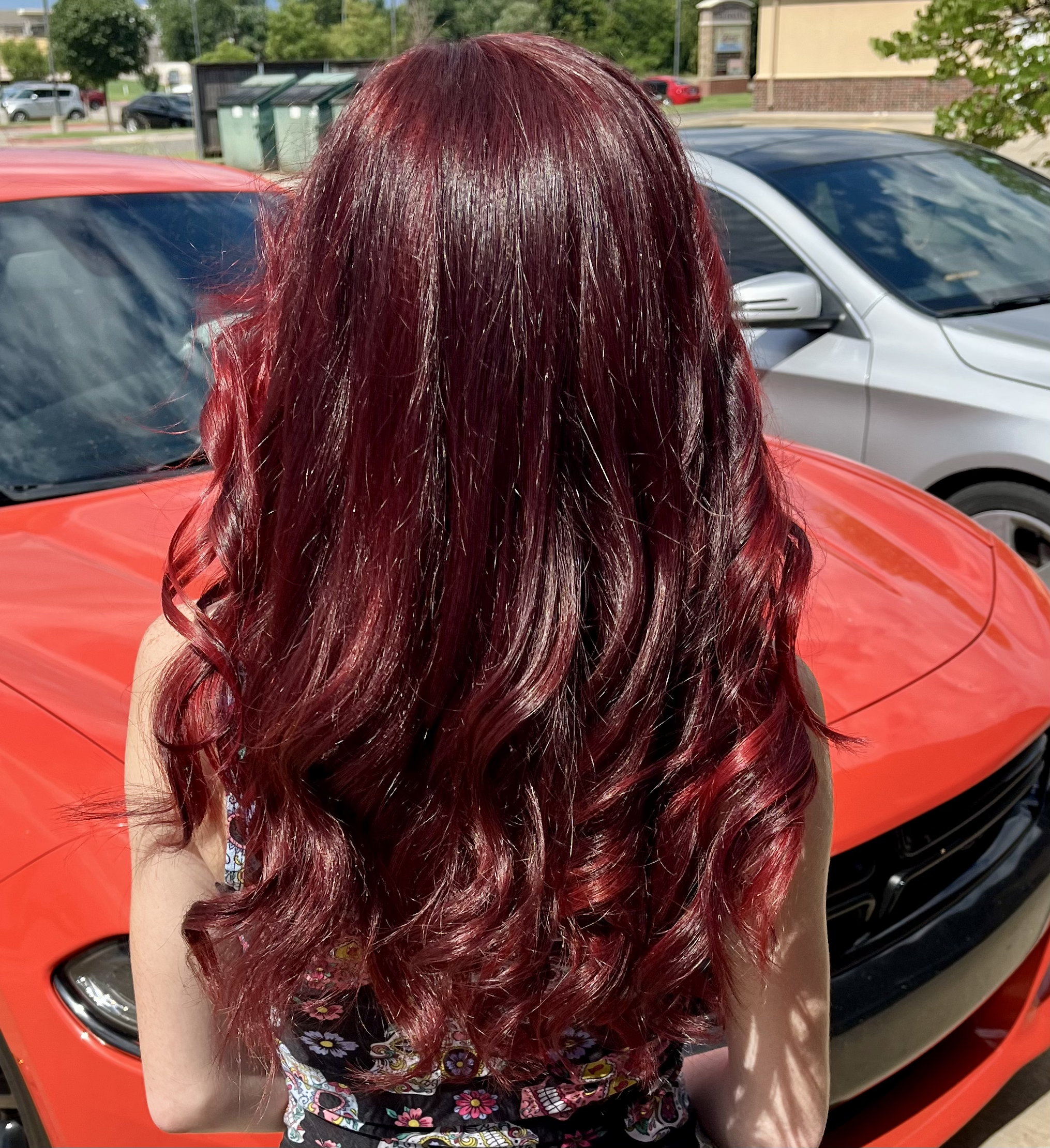 Shampoo, Cut, Blowdry