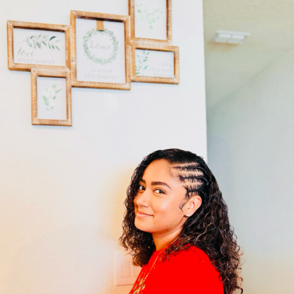 CORNROWS ( 2-3  braids) at BRAIDS_BY_ROX in Riverview, FL