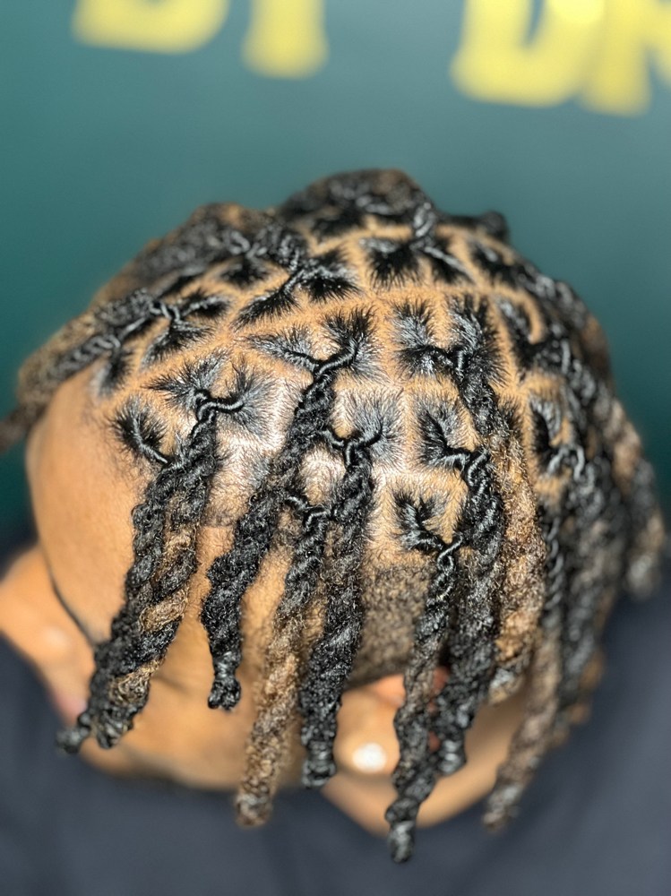 High Top Shampoo, Retwist &Style