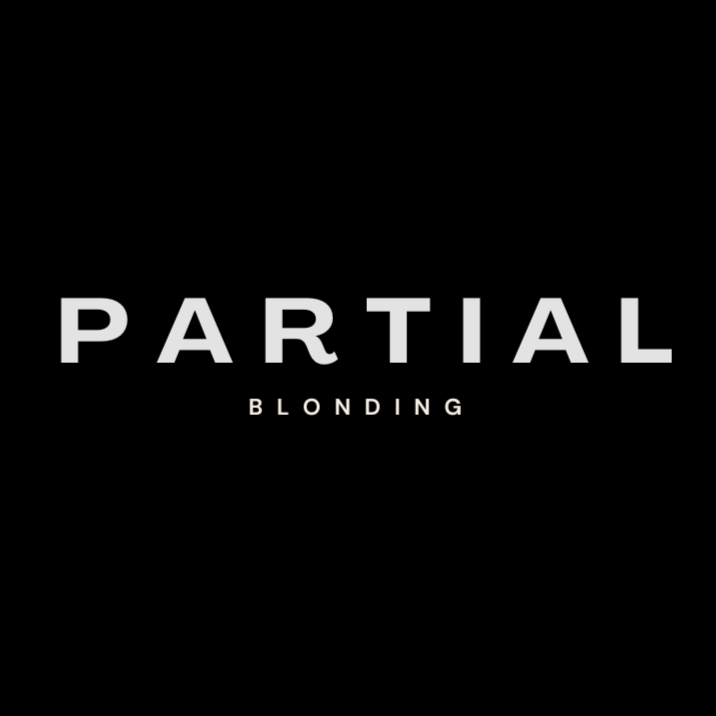 Partial Blonding at Chanel Stylez in Englewood, CO
