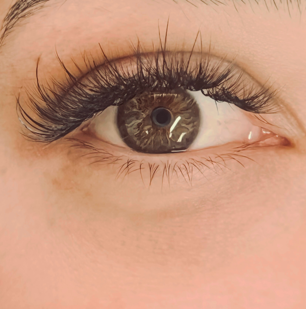 Hybrid Extentions